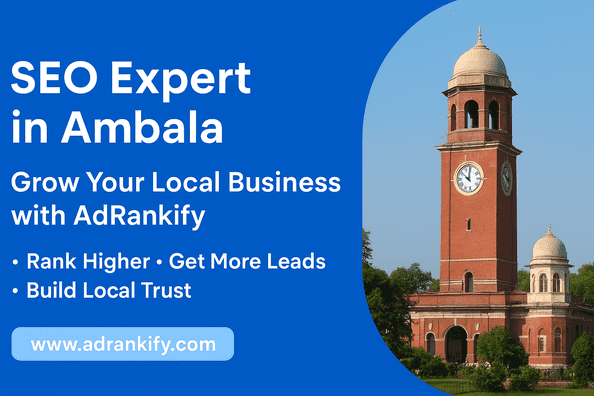 Seo Expert In Ambala