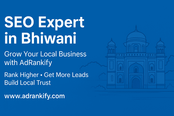 Seo Expert In Bhiwani